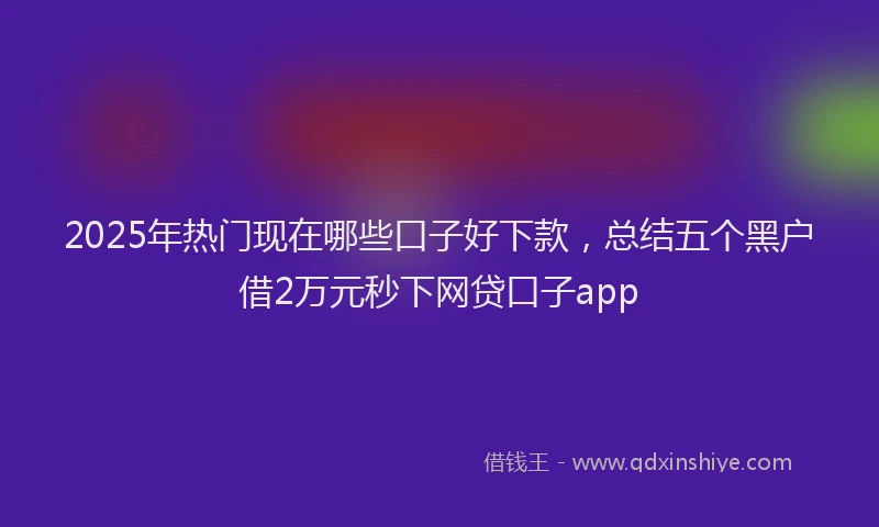 2025年热门现在哪些口子好下款，总结五个黑户借2万元秒下网贷口子app