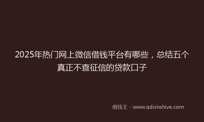 2025年热门网上微信借钱平台有哪些，总结五个真正不查征信的贷款口子