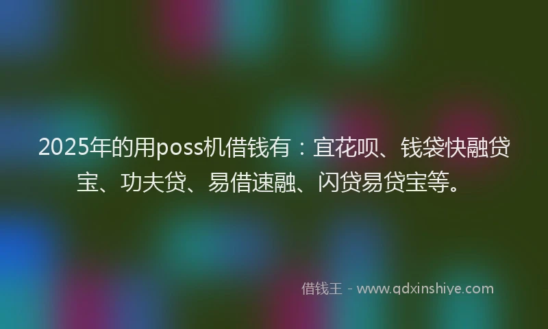 2025年的用poss机借钱有：宜花呗、钱袋快融贷宝、功夫贷、易借速融、闪贷易贷宝等。