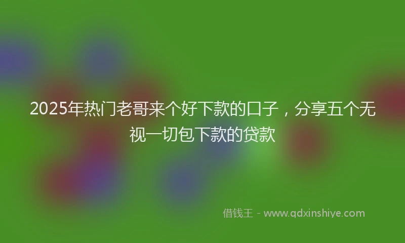 2025年热门老哥来个好下款的口子,分享五个无视一切包下款的贷款