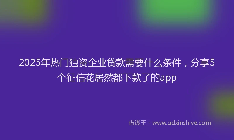 2025年热门独资企业贷款需要什么条件，分享5个征信花居然都下款了的app