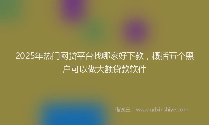 2025年热门网贷平台找哪家好下款，概括五个黑户可以做大额贷款软件
