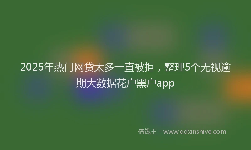 2025年热门网贷太多一直被拒，整理5个无视逾期大数据花户黑户app