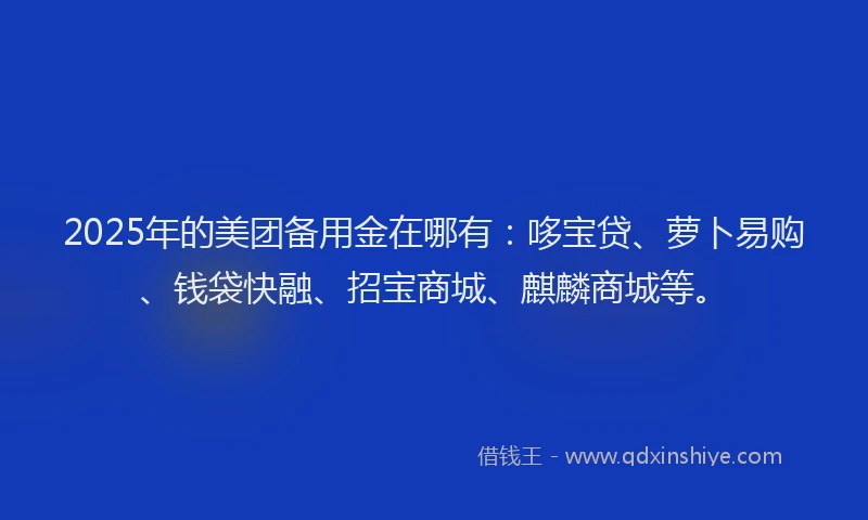 2025年的美团备用金在哪有：哆宝贷、萝卜易购、钱袋快融、招宝商城、麒麟商城等。
