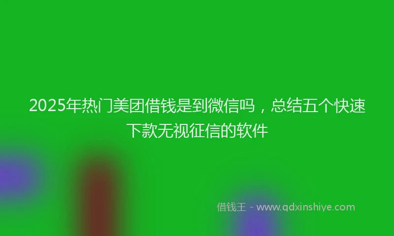 2025年热门美团借钱是到微信吗，总结五个快速下款无视征信的软件