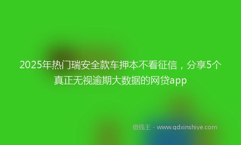 2025年热门瑞安全款车押本不看征信，分享5个真正无视逾期大数据的网贷app