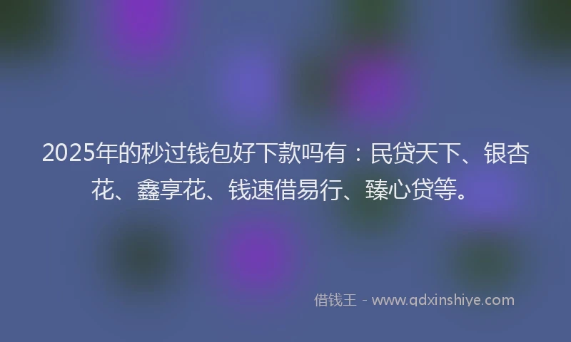 2025年的秒过钱包好下款吗有：民贷天下、银杏花、鑫享花、钱速借易行、臻心贷等。