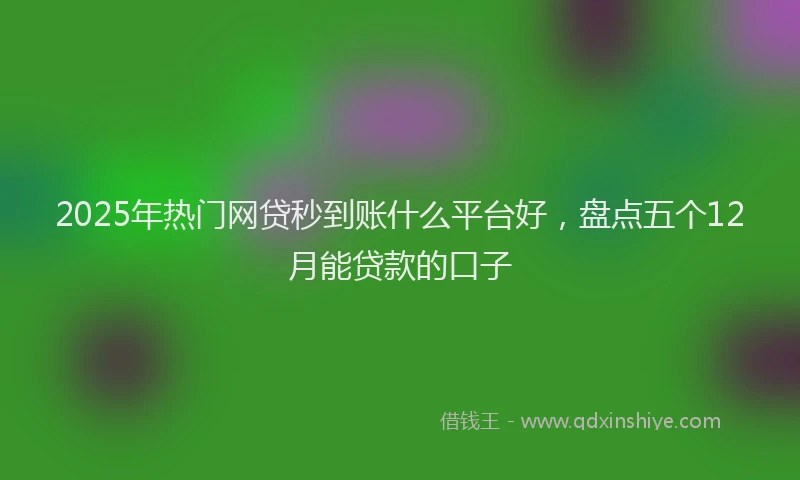 2025年热门网贷秒到账什么平台好，盘点五个12月能贷款的口子