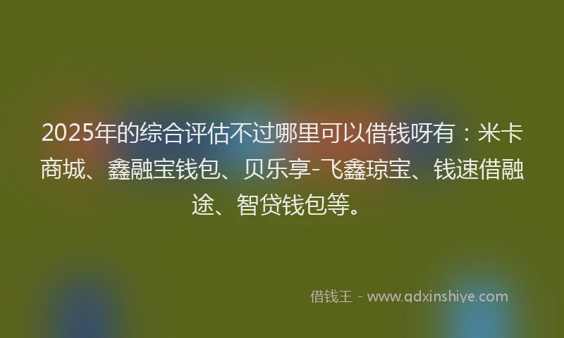 2025年的综合评估不过哪里可以借钱呀有：米卡商城、鑫融宝钱包、贝乐享-飞鑫琼宝、钱速借融途、智贷钱包等。