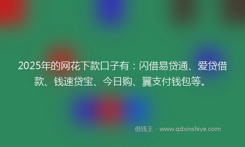 2025年的网花下款口子有：闪借易贷通、爱贷借款、钱速贷宝、今日购、翼支付钱包等。