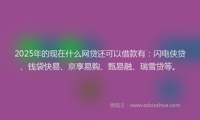 2025年的现在什么网贷还可以借款有:闪电侠贷、钱袋快易、京享易购、甄易融、瑞雪贷等。