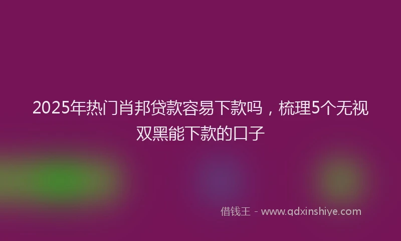 2025年热门肖邦贷款容易下款吗,梳理5个无视双黑能下款的口子