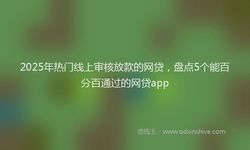 2025年热门线上审核放款的网贷,盘点5个能百分百通过的网贷app
