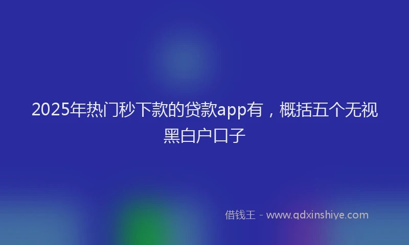 2025年热门秒下款的贷款app有，概括五个无视黑白户口子