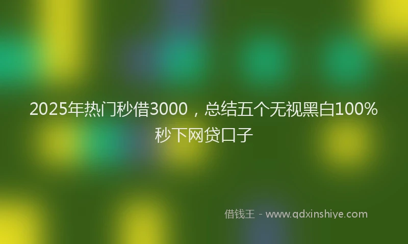 2025年热门秒借3000，总结五个无视黑白100%秒下网贷口子