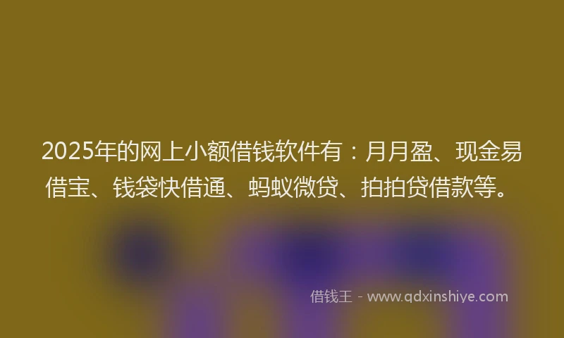 2025年的网上小额借钱软件有：月月盈、现金易借宝、钱袋快借通、蚂蚁微贷、拍拍贷借款等。