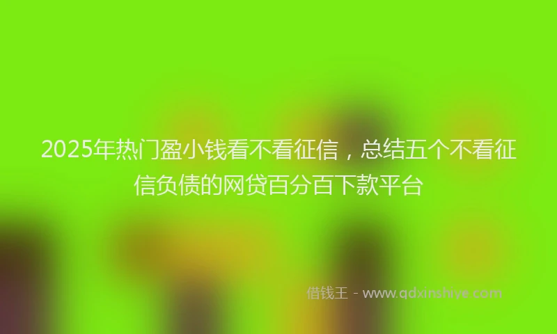 2025年热门盈小钱看不看征信，总结五个不看征信负债的网贷百分百下款平台