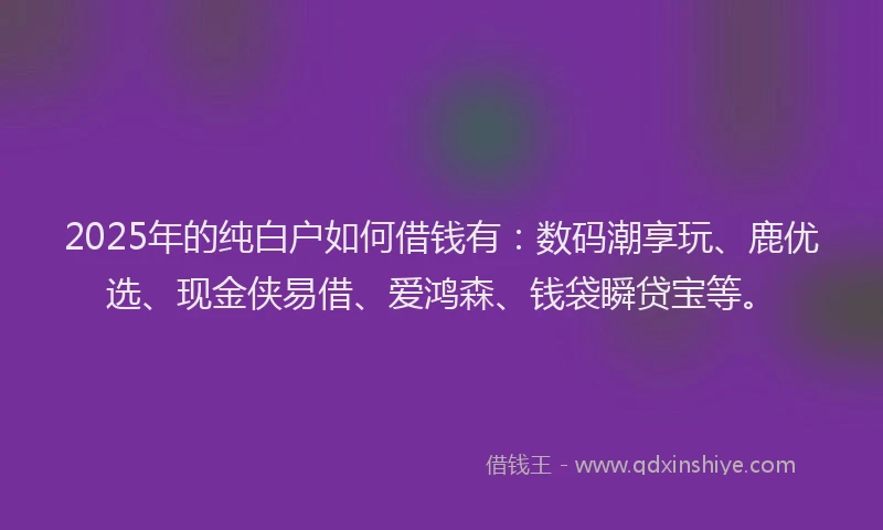 2025年的纯白户如何借钱有:数码潮享玩、鹿优选、现金侠易借、爱鸿森、钱袋瞬贷宝等。