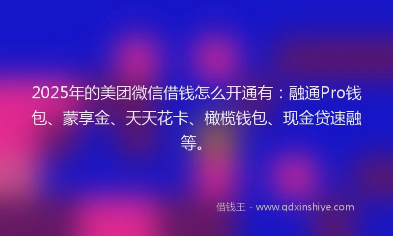 2025年的美团微信借钱怎么开通有：融通Pro钱包、蒙享金、天天花卡、橄榄钱包、现金贷速融等。