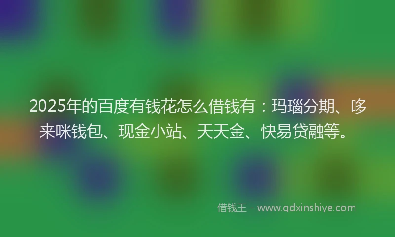 2025年的百度有钱花怎么借钱有：玛瑙分期、哆来咪钱包、现金小站、天天金、快易贷融等。