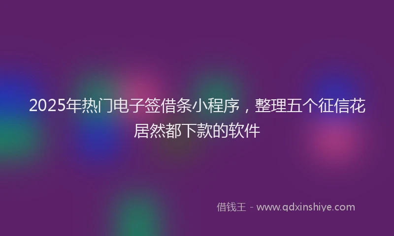2025年热门电子签借条小程序，整理五个征信花居然都下款的软件