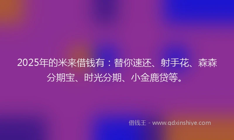 2025年的米来借钱有：替你速还、射手花、森森分期宝、时光分期、小金鹿贷等。