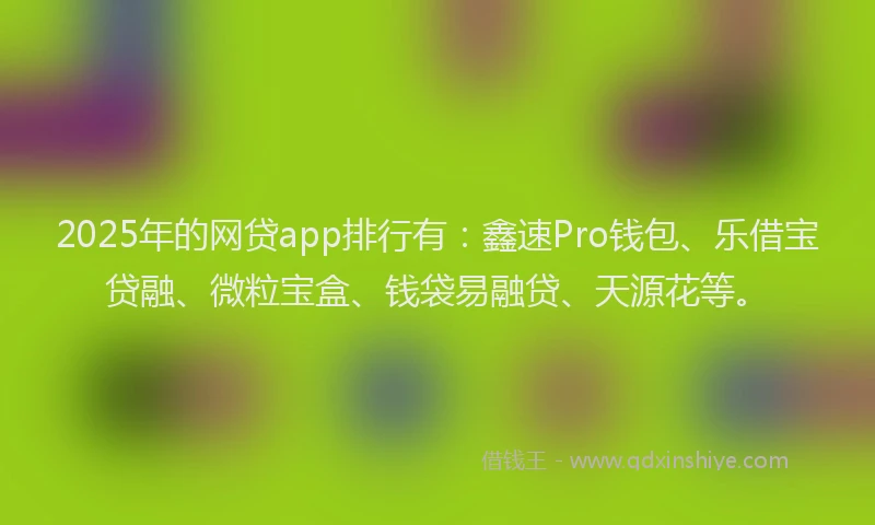 2025年的网贷app排行有：鑫速Pro钱包、乐借宝贷融、微粒宝盒、钱袋易融贷、天源花等。