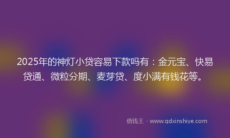 2025年的神灯小贷容易下款吗有：金元宝、快易贷通、微粒分期、麦芽贷、度小满有钱花等。