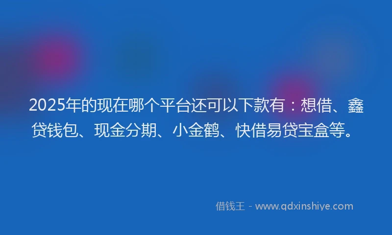 2025年的现在哪个平台还可以下款有:想借、鑫贷钱包、现金分期、小金鹤、快借易贷宝盒等。