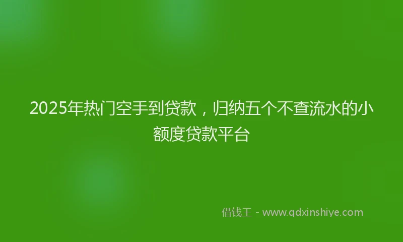 2025年热门空手到贷款，归纳五个不查流水的小额度贷款平台
