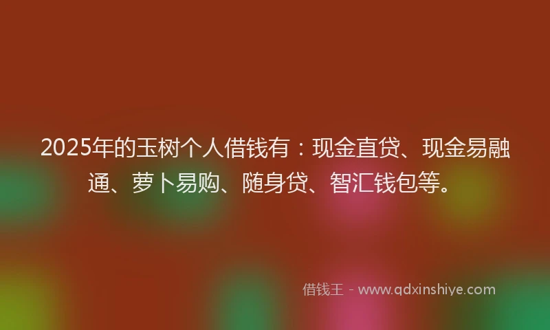2025年的玉树个人借钱有：现金直贷、现金易融通、萝卜易购、随身贷、智汇钱包等。