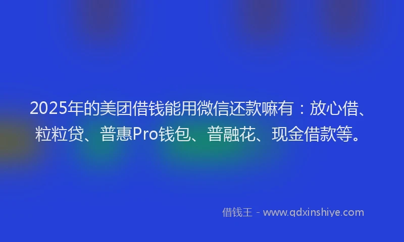 2025年的美团借钱能用微信还款嘛有：放心借、粒粒贷、普惠Pro钱包、普融花、现金借款等。