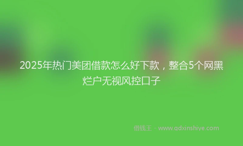 2025年热门美团借款怎么好下款，整合5个网黑烂户无视风控口子