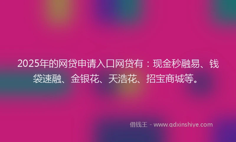 2025年的网贷申请入口网贷有：现金秒融易、钱袋速融、金银花、天浩花、招宝商城等。