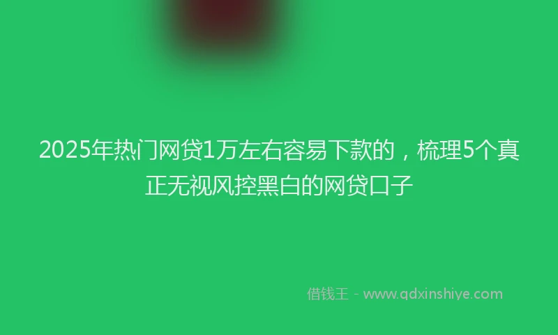2025年热门网贷1万左右容易下款的，梳理5个真正无视风控黑白的网贷口子