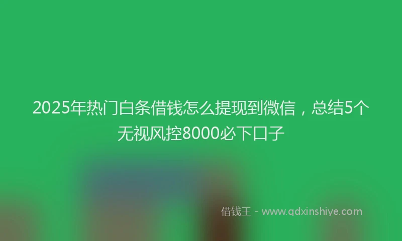 2025年热门白条借钱怎么提现到微信,总结5个无视风控8000必下口子