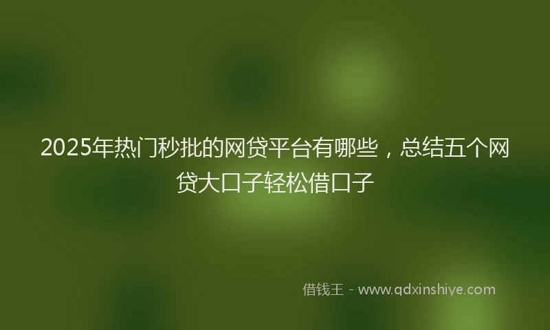 2025年热门秒批的网贷平台有哪些，总结五个网贷大口子轻松借口子