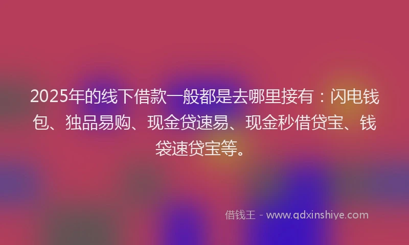 2025年的线下借款一般都是去哪里接有:闪电钱包、独品易购、现金贷速易、现金秒借贷宝、钱袋速贷宝等。