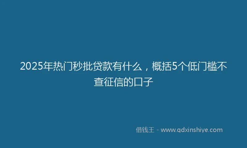 2025年热门秒批贷款有什么，概括5个低门槛不查征信的口子