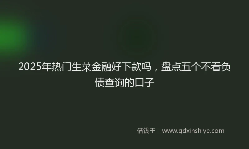 2025年热门生菜金融好下款吗，盘点五个不看负债查询的口子