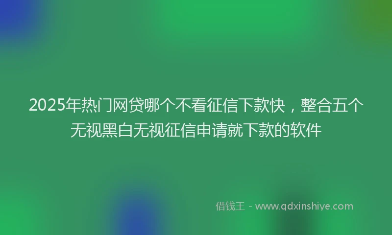 2025年热门网贷哪个不看征信下款快，整合五个无视黑白无视征信申请就下款的软件