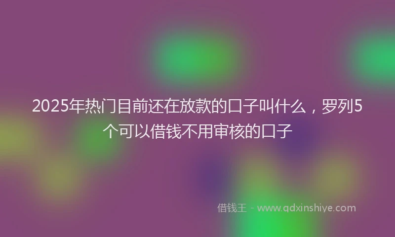 2025年热门目前还在放款的口子叫什么，罗列5个可以借钱不用审核的口子