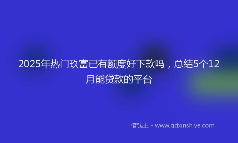 2025年热门玖富已有额度好下款吗，总结5个12月能贷款的平台