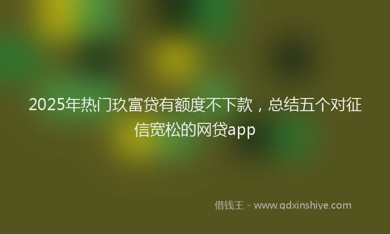 2025年热门玖富贷有额度不下款，总结五个对征信宽松的网贷app