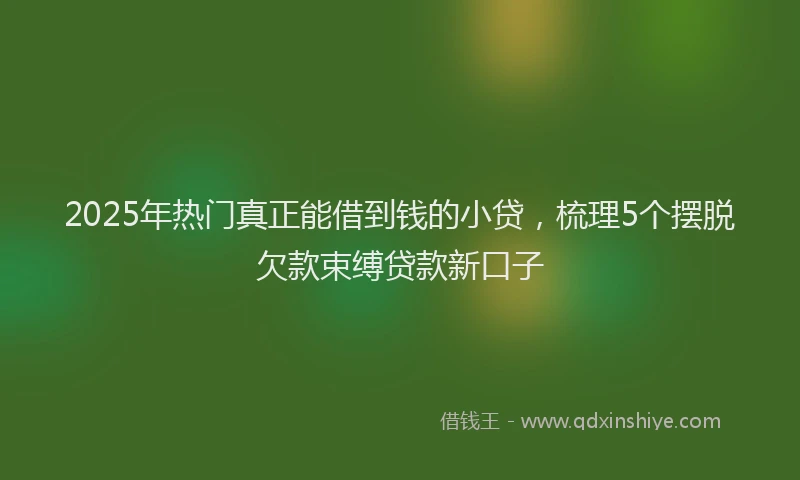 2025年热门真正能借到钱的小贷，梳理5个摆脱欠款束缚贷款新口子