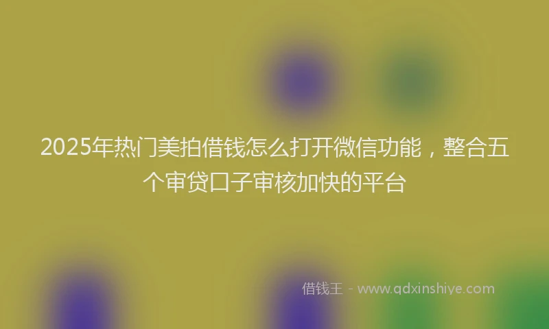 2025年热门美拍借钱怎么打开微信功能，整合五个审贷口子审核加快的平台