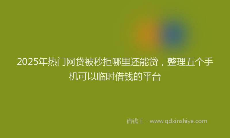 2025年热门网贷被秒拒哪里还能贷，整理五个手机可以临时借钱的平台