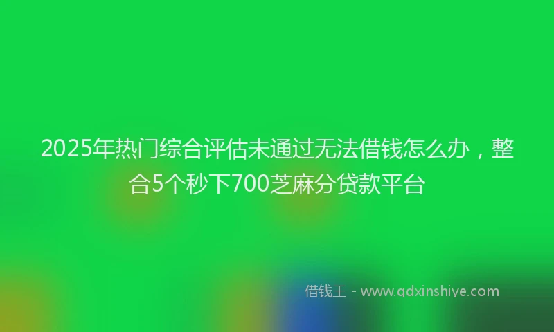 2025年热门综合评估未通过无法借钱怎么办，整合5个秒下700芝麻分贷款平台
