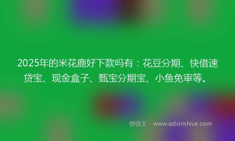2025年的米花鹿好下款吗有:花豆分期、快借速贷宝、现金盒子、甄宝分期宝、小鱼免审等。