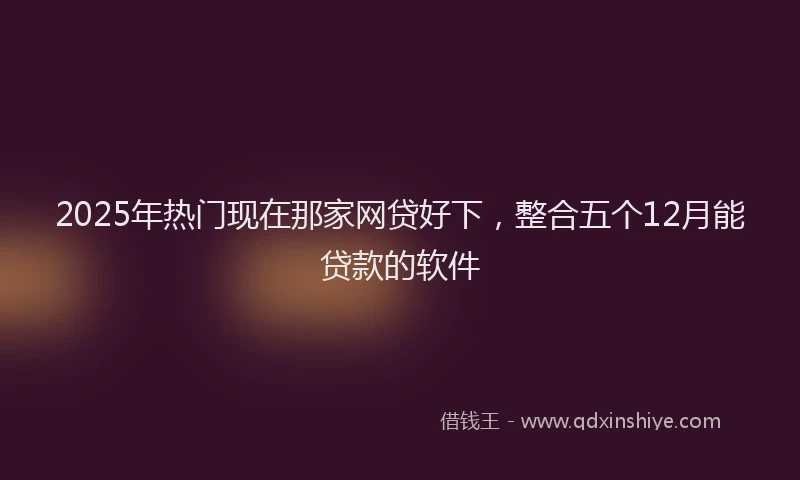 2025年热门现在那家网贷好下，整合五个12月能贷款的软件